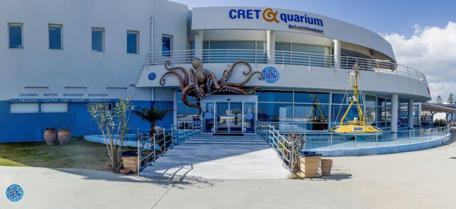 Crete: Heraklion Center, Local Market and Creta Aquarium - Koules Fortress and the Old Harbor
