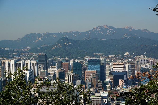 Customized Private Seoul tour: Palace, Market etc(Airport Option) - The smartest city route: palaces, old streets, and food