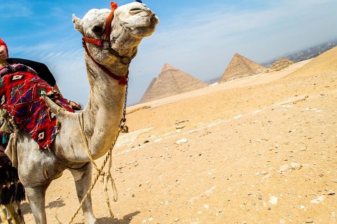 Day trip to Giza Pyramids Citadel & Bazaar - What the $85.72 price really covers