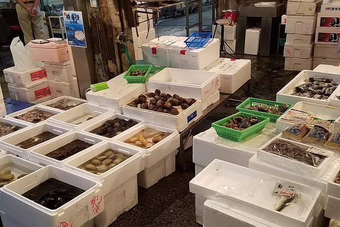 Deep Dive: Osaka Food Markets from Local to Luxurious! - Kuromon Ichiba is the route’s big food showcase
