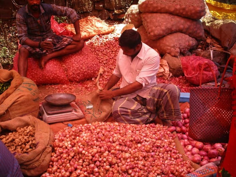 Delhi: Half-Day Old Delhi Private Guided Tour with Markets - Khari Baoli and the smell of Delhi