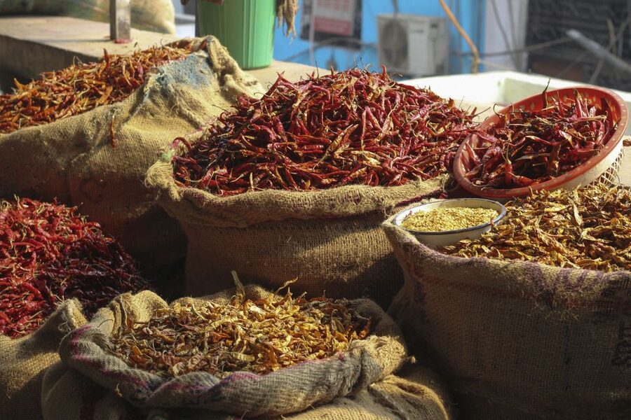 Delhi: Old Delhi & Spice Market Tour - Is $17 good value?