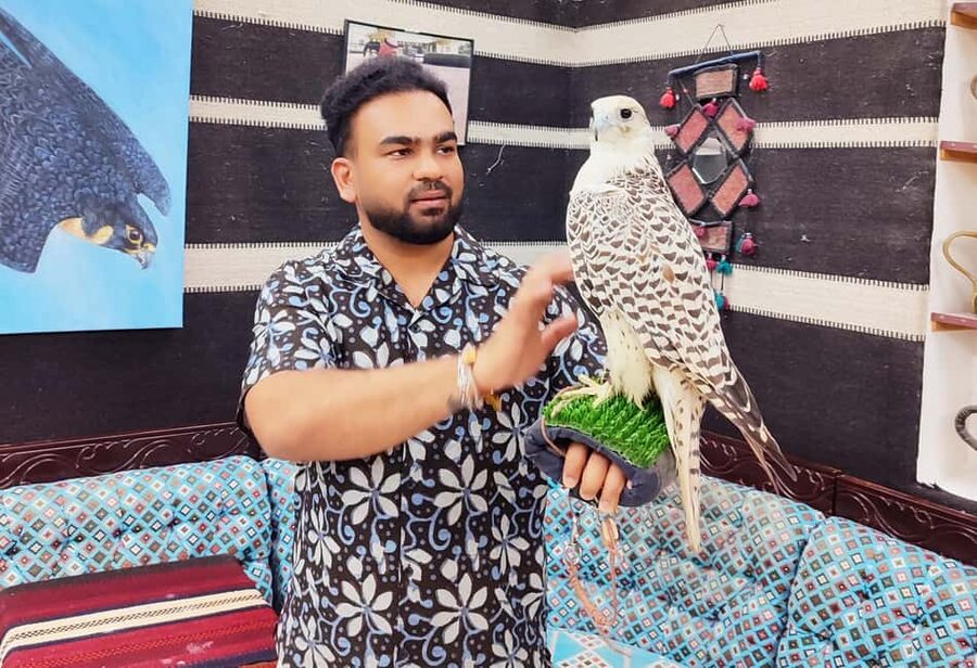 Doha: Souq Waqif - Traditional Local market guided Walk Tour - Is $56 good value for two hours?