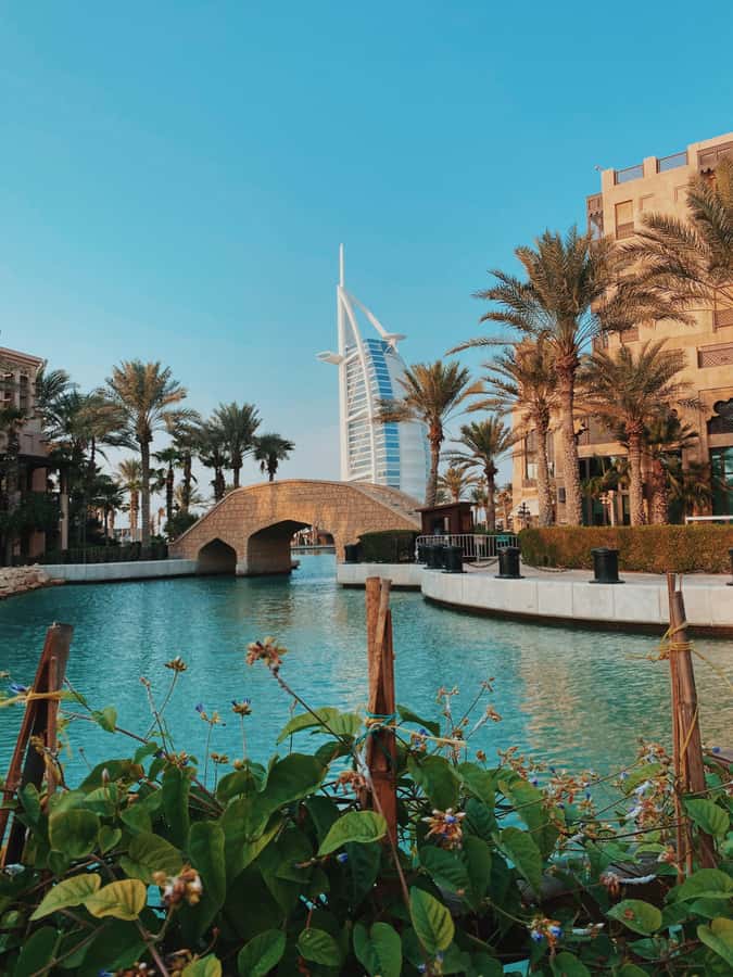 Dubai:Private Frame Entry, Mosque, Souks, Tastings& transfer - Who should book this Dubai private tour?