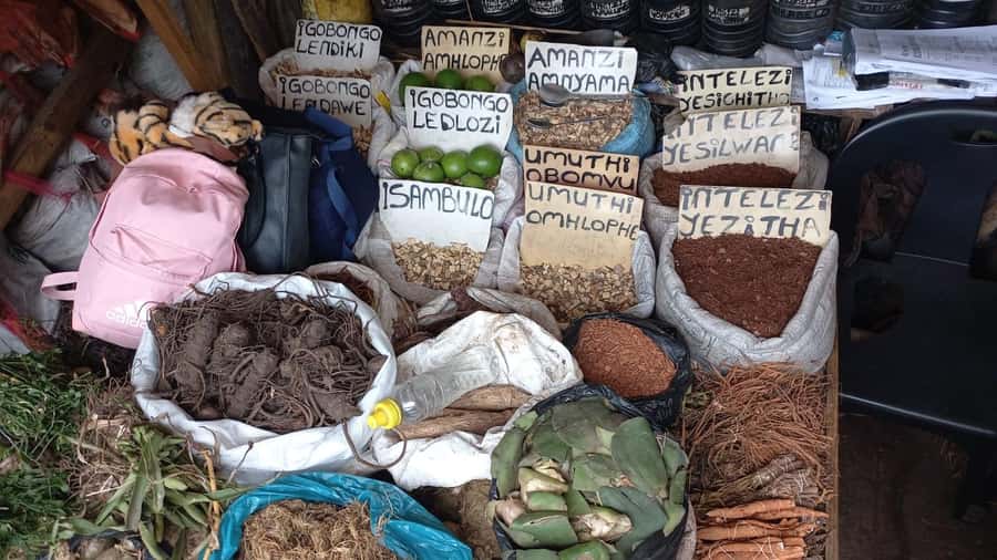 Durban: Local Markets and Culture Guided Walking Tour - Starting in Morningside and getting your bearings