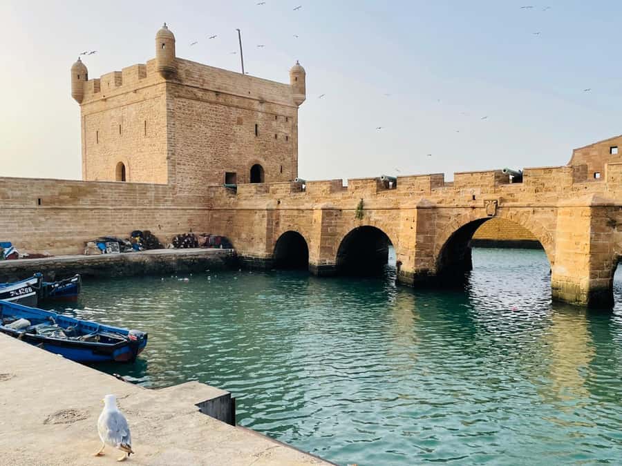 Essaouira: Sqala du Port, Citadel, Fish Market & Medina Tour - Moulay Hassan Square and the Atlantic outlook