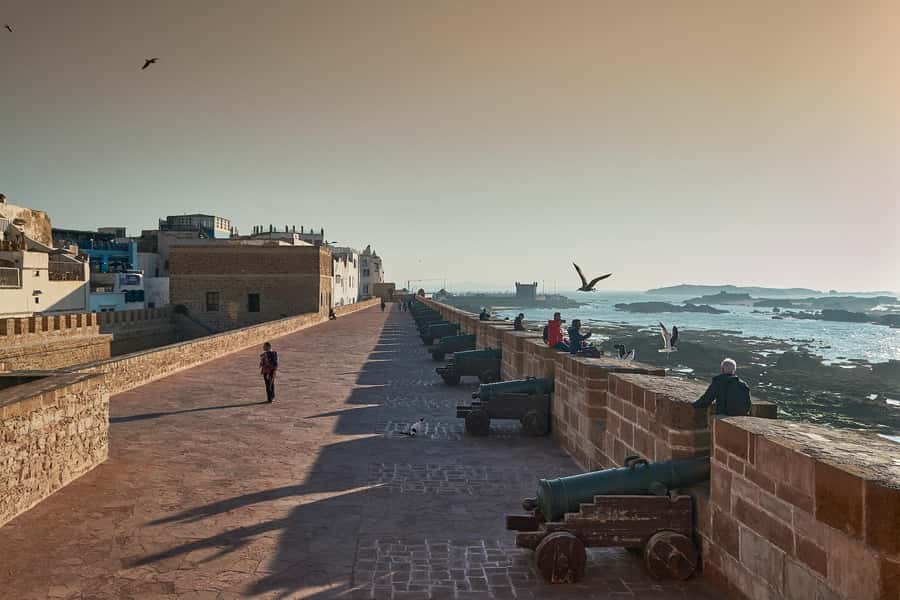 Essaouira: Sqala du Port, Medina Ramparts & Fish Market Tour - The port and fish market: Essaouira at work