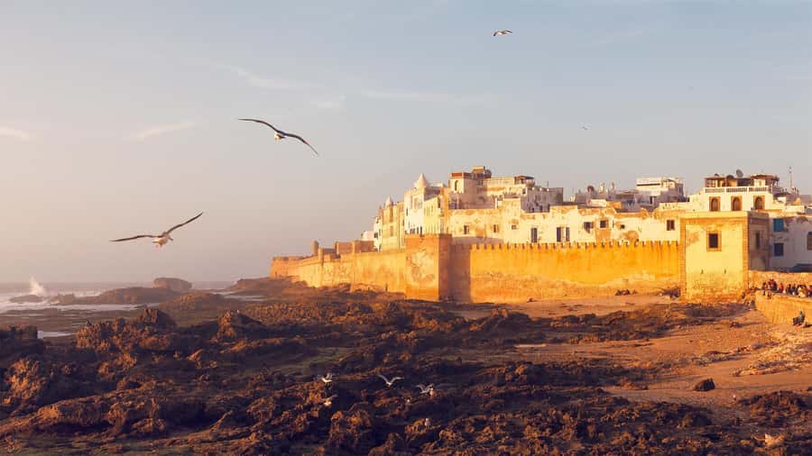 Essaouira: Sqala du Port, Medina Ramparts & Fish Market Tour - What the guide adds to the experience