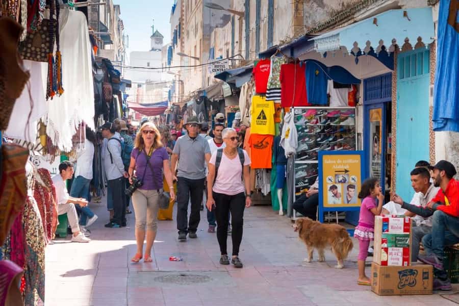 Essaouira: Sqala du Port, Medina Ramparts & Fish Market Tour - Pace, comfort, and who should book