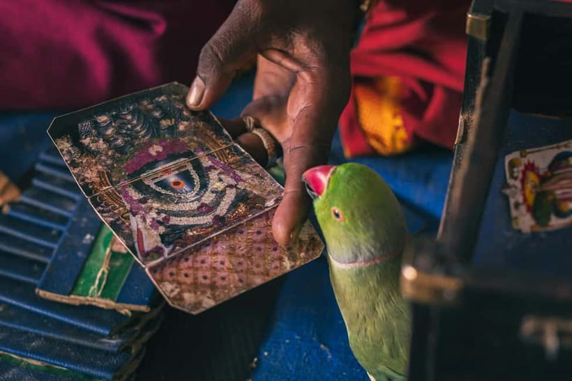Experience Bangalore - Evening City Walk Tour & Market Visit - Bangalore Fort as a brief historical pause