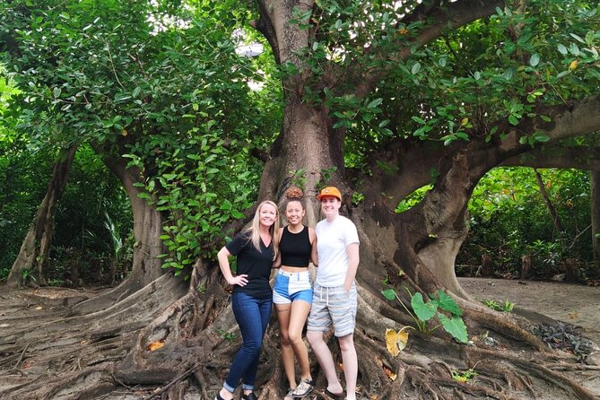Experience Cancun's Hidden Gems, Mayan museum, cenote & Market 23 - Private transport changes the pace