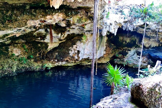 Experience Cancun's Hidden Gems, Mayan museum, cenote & Market 23 - The guide makes the difference