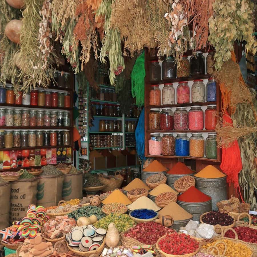 Explore Marrakech: Majorelle, YSL, Monuments & Markets - Walking, weather, and the practical side of the day