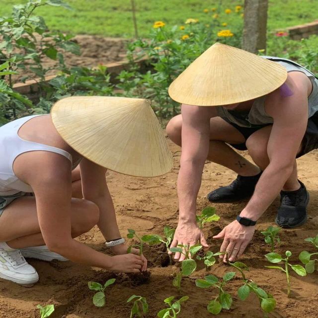 Farming - Local Market - Cooking Class In Tra Que Vegetable - From Hoi An market to the village lanes