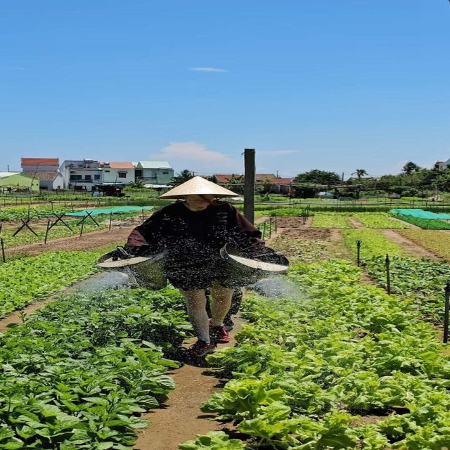Farming - Local Market - Cooking Class In Tra Que Vegetable - Timing, group size, and practical comfort