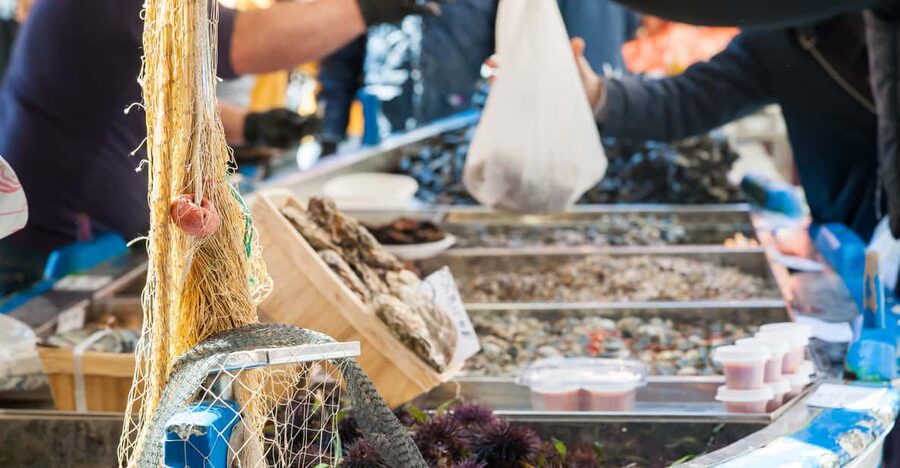 Fasano: Market, Cooking Demo & Meal at a Local's Home - Should you book it?