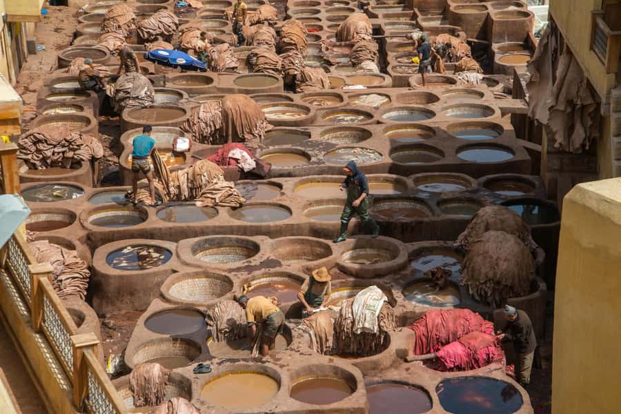 Fes: Attarine Madrasa, Museum, Tannery, Souk and Medina Tour - Timing, walking demands, and what to bring