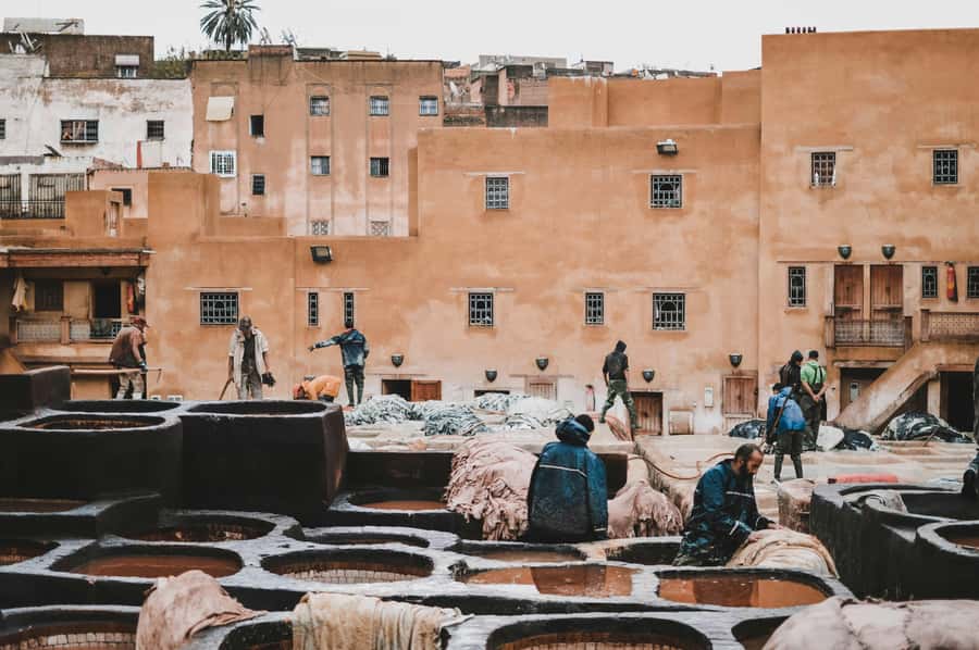 Fes: Royal Palace, Madrasa, Tannery & Souks and Medina Tour - Karaouiyne and the old center of learning