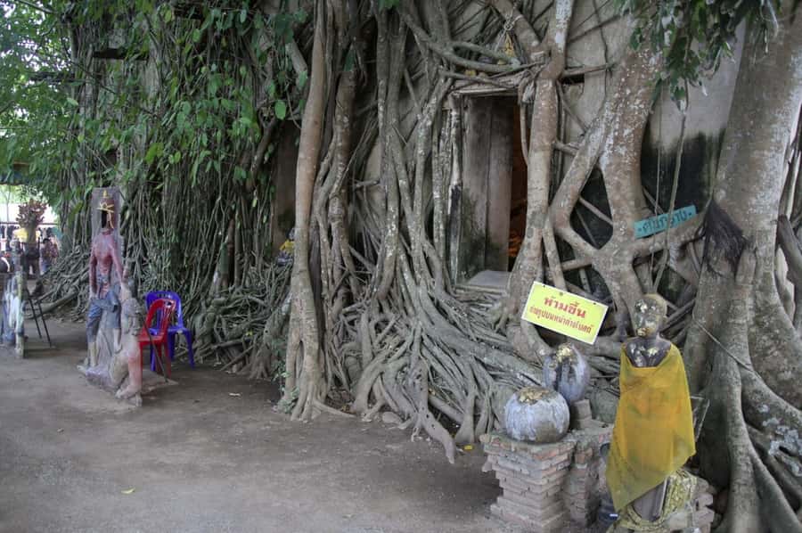 Floating Market Full-Day Bicycle Tour from Bangkok - Guide style and group arrangements