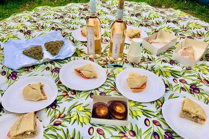 Food & Wine Lovers Tour of Nice Local Markets and Best Shops - Castle Hill picnic with views over Nice