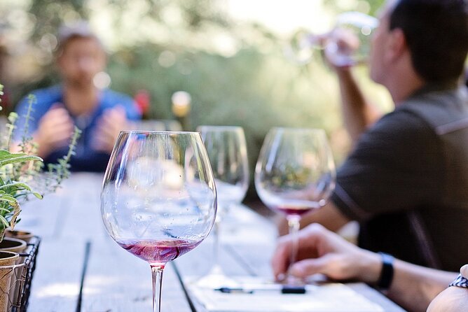 Food & Wine Lovers Tour of Nice Local Markets and Best Shops - Practical advice for getting the most from the morning