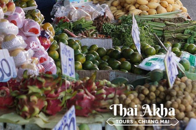 Fresh Local Market Tour - Food tour in Chiang Mai - Who will get the most from this tour