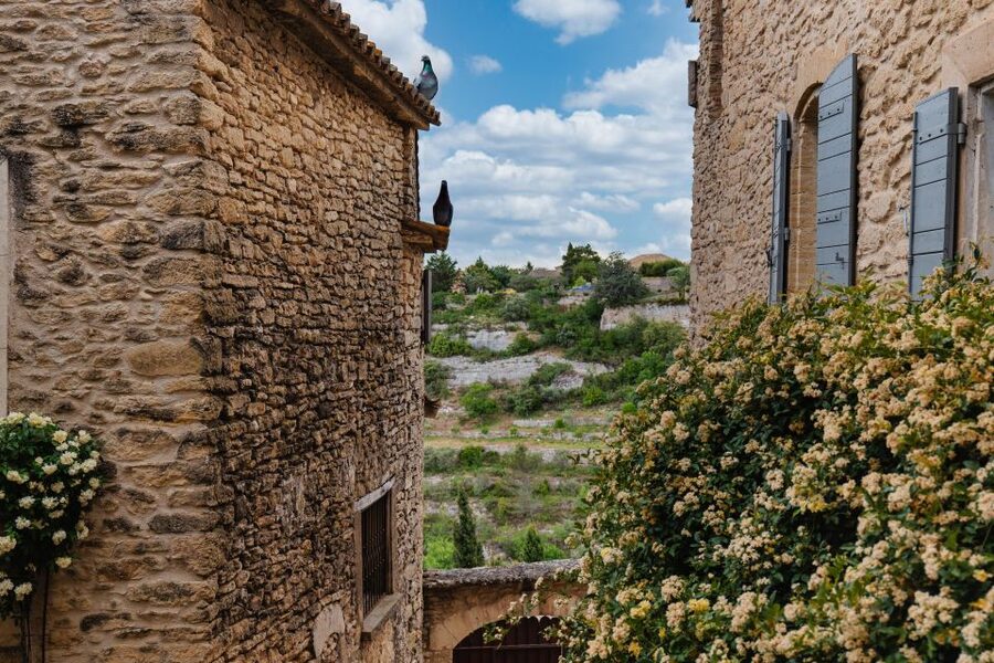 From Aix-en-Provence: Luberon Market & Villages Day Tour - Lunch, walking, and what to pack