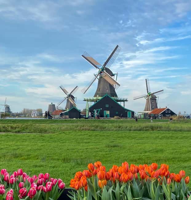 From Amsterdam; Alkmaar Cheese market & Zaanse Schans - Why the Alkmaar cheese market is worth the morning