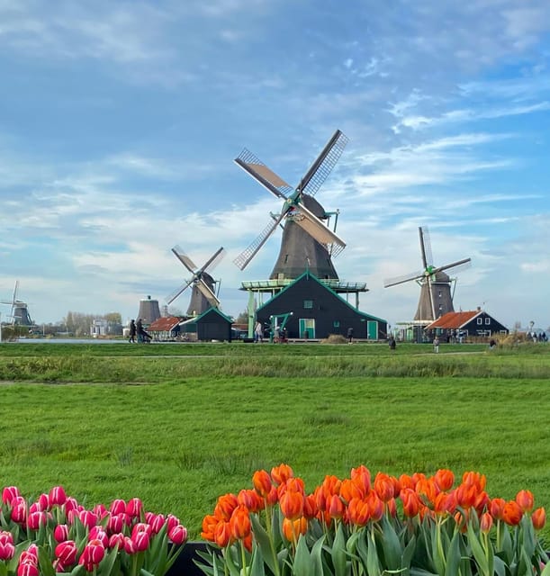 From Amsterdam; Alkmaar Cheese market & Zaanse Schans - A useful contrast between the two stops