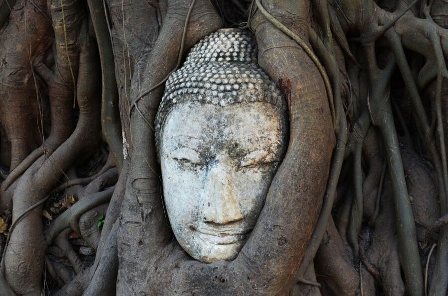 From Bangkok: Floating Market & Ayutthaya Private Day Trip - Wat Mahathat and Ayutthaya’s broken brick beauty