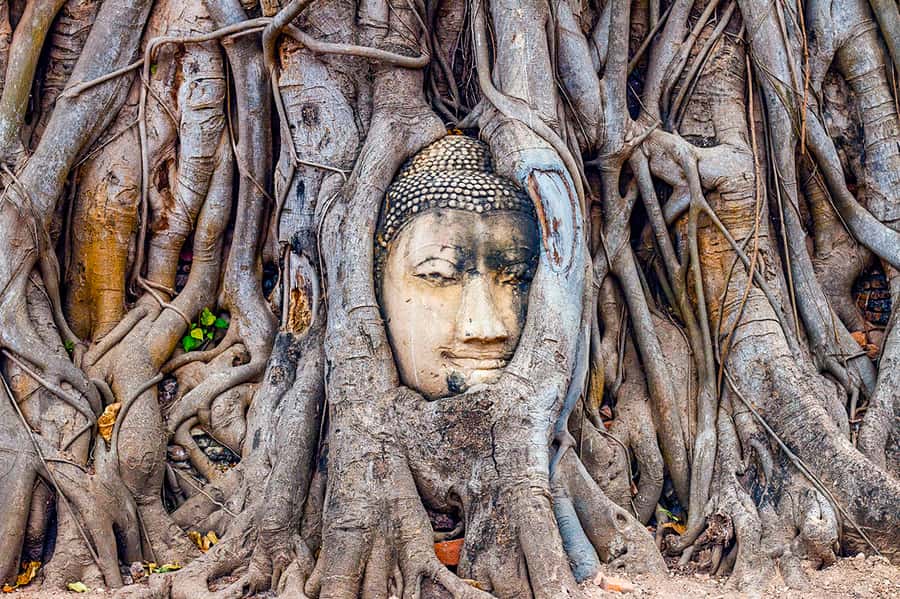 From Bangkok: Markets and Ayutthaya Tour - Who should book this experience