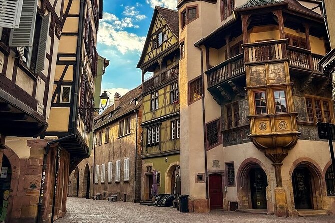 From Basel: Colmar Christmas Market & Wine Tasting Private Tour - The organic Alsatian wine tasting
