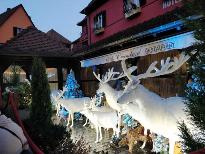 From Colmar: Christmas Markets Across 3 Borders - Key points to know before booking