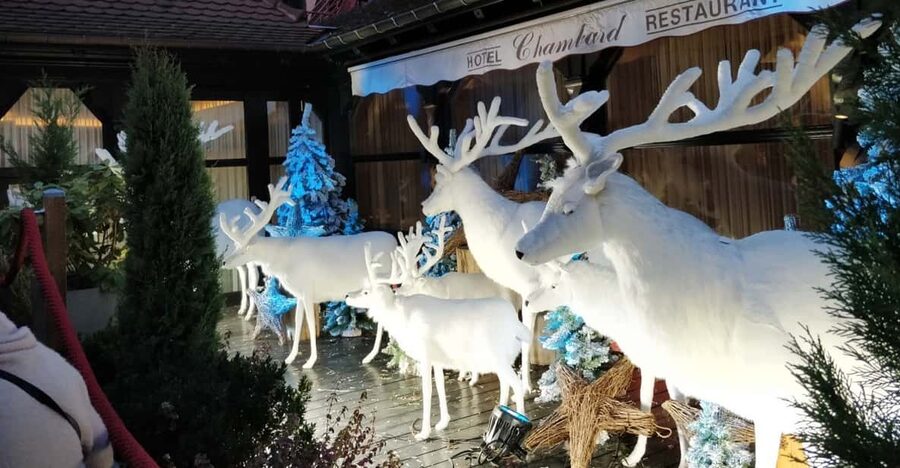 From Colmar: Christmas Markets Across 3 Borders - Basel: Switzerland’s market atmosphere