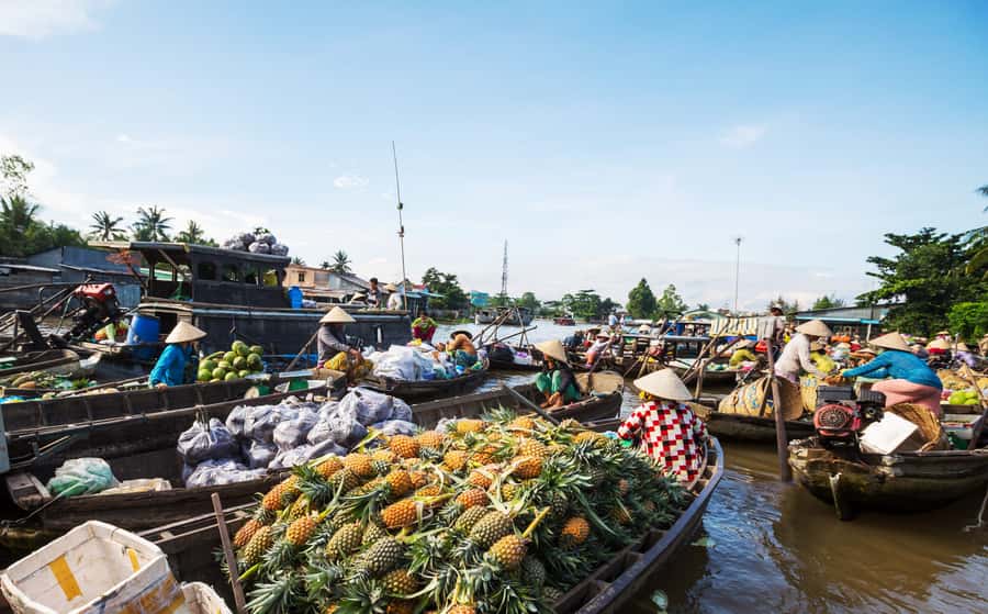 From HCM: Mekong Delta & Cai Rang Floating Market 2-Day Tour - My Tho and the wide Mekong River