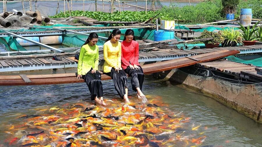 From Ho Chi Minh: Mekong and Cai Rang Floating Market 1 Day - The group route and Son Islet