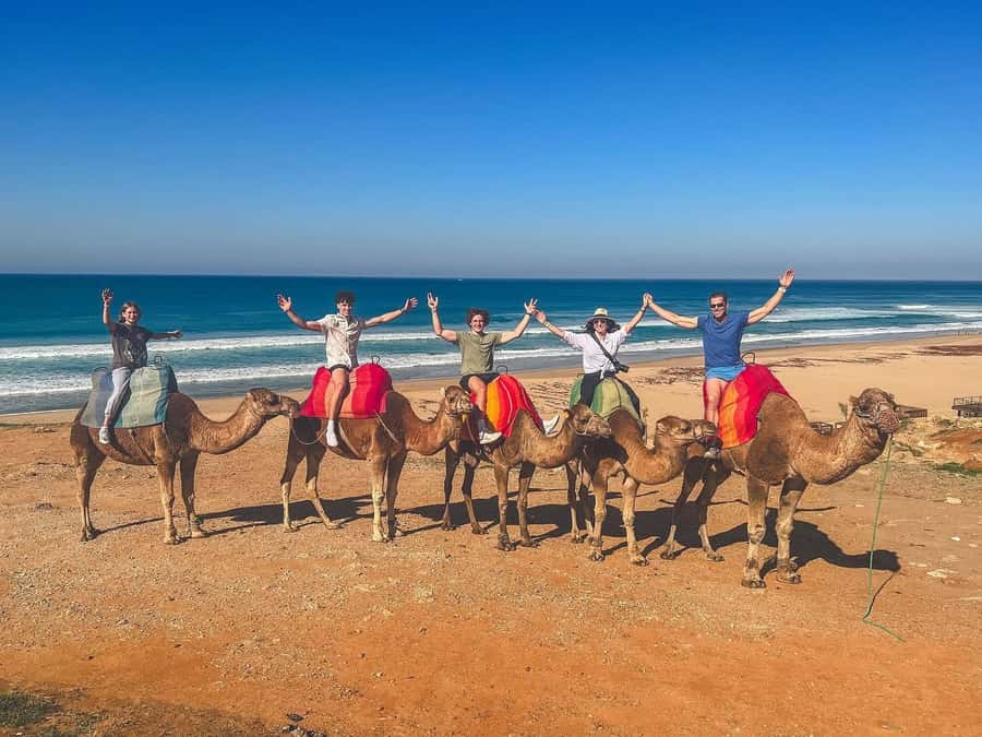 From Malaga: Tangier Day Trip with Ferry, Camel & Souks - From Malaga to Tarifa before the ferry