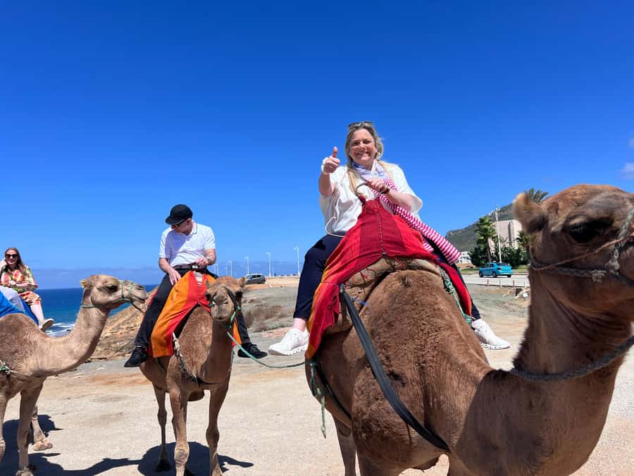 From Malaga: Tangier Day Trip with Ferry, Camel & Souks - The Medina, souks, and everyday Tangier