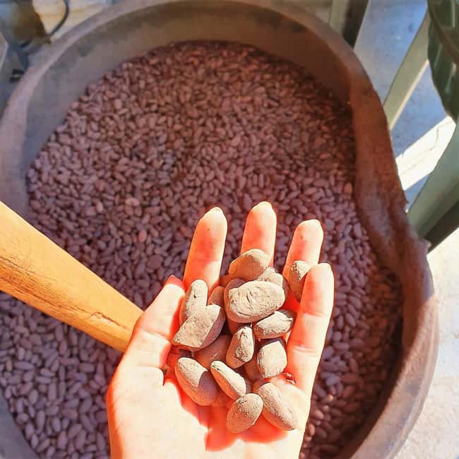 From Puerto Plata Priv: Cocoa, Coffee, Cigars & Local Market - From Puerto Plata into the Dominican interior