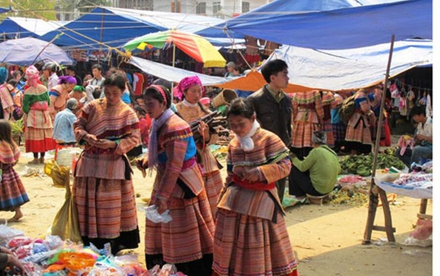 From Sa Pa: Sunday Bac Ha Market Group Tour - The tea farm stop near Lao Cai