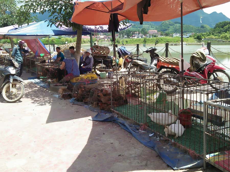 From Sa Pa: Sunday Bac Ha Market Group Tour - The road from Sa Pa and what the transport is like