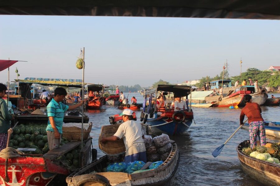 From Saigon: Private Tour to Cai Rang Floating Market 1 Day - Reading the market from the water