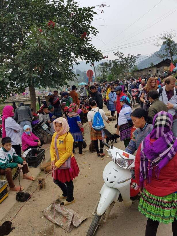 From Sapa: 1D Local Bac Ha Sunday Market Tour - Best seller - What the $35 Price Really Buys