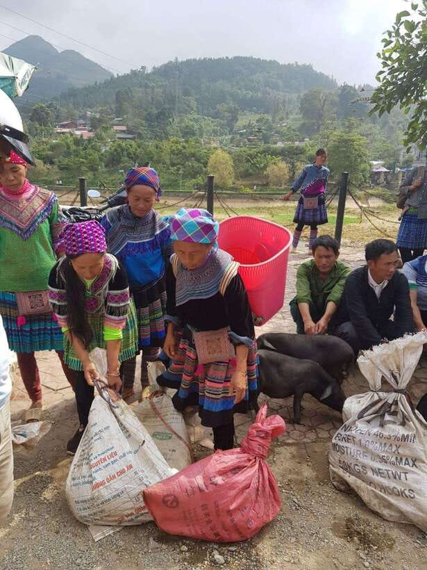 From Sapa: 1D Local Bac Ha Sunday Market Tour - Best seller - Lunch in a Small Mountain Town