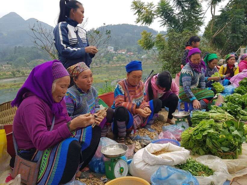 From Sapa: 1D Local Bac Ha Sunday Market Tour - Best seller - The Vietnam-China Border Gate and Temple Stop