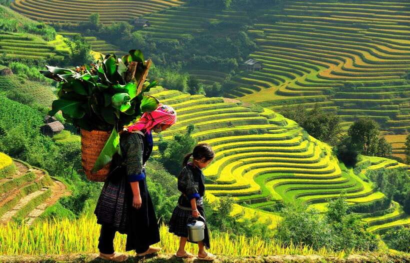 From Sapa: Bac Ha Sunday Market and Ethnic Villages Tour - Lunch and the village walk