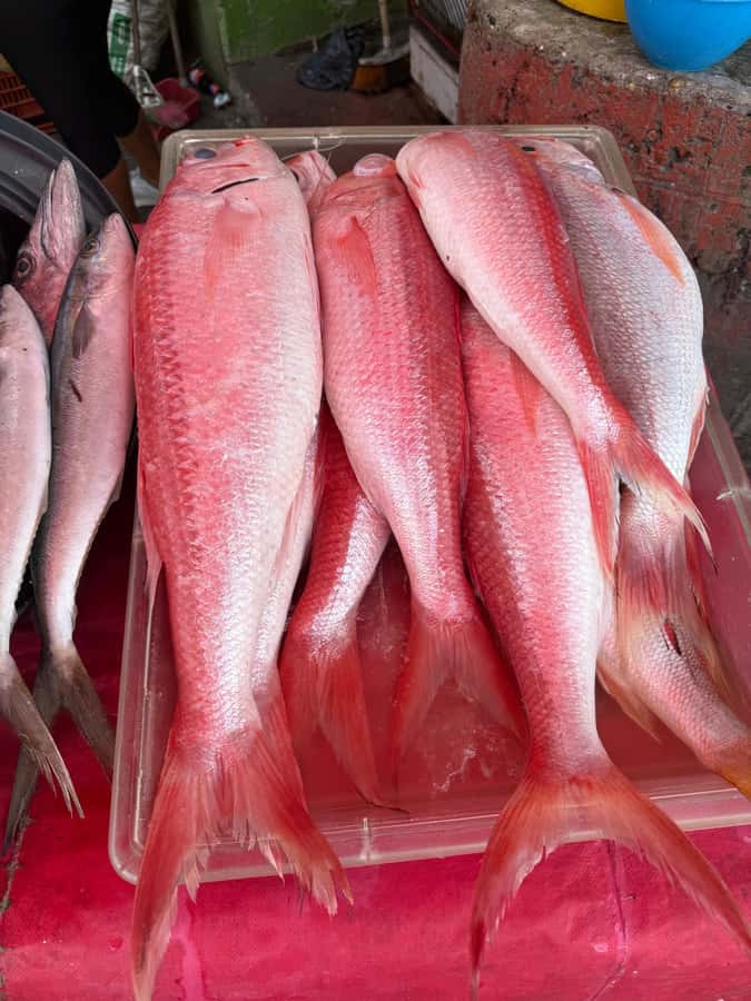 Get to know the real Cartagena: Bazurto Market gastronomic & cultural tour - Tasting tropical fruit, fish, and typical food