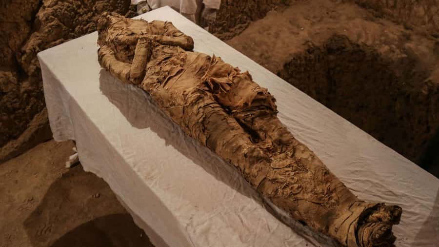 Giza Pyramids, Mummy Museum And Bazaar Private Day Tour - The Great Pyramid and Sphinx at Giza