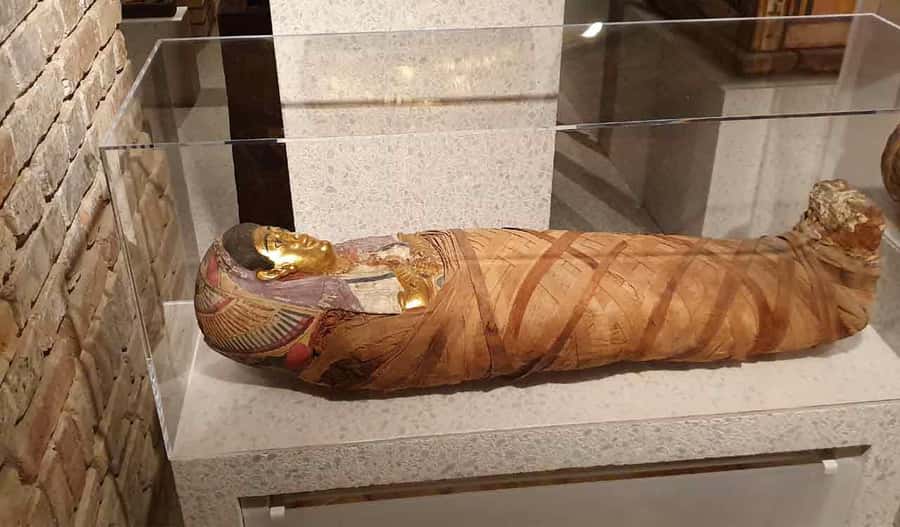 Giza Pyramids, Mummy Museum And Bazaar Private Day Tour - Who will get the most from this tour