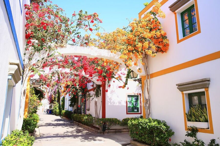 Gran Canaria: Puerto de Mogán Local Market Day Trip - Pickup from Gran Canaria’s south coast